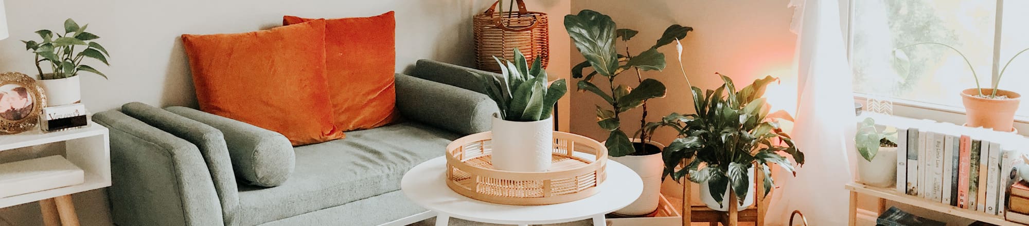 FleuropHOME – Lifestyle für Ihr Zuhause