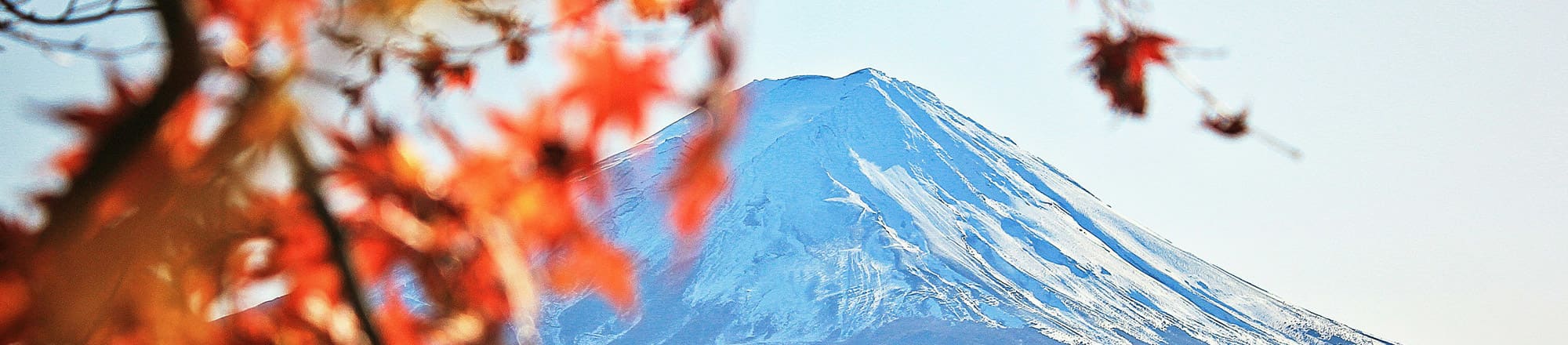 Momijigari - Indian Summer in Japan