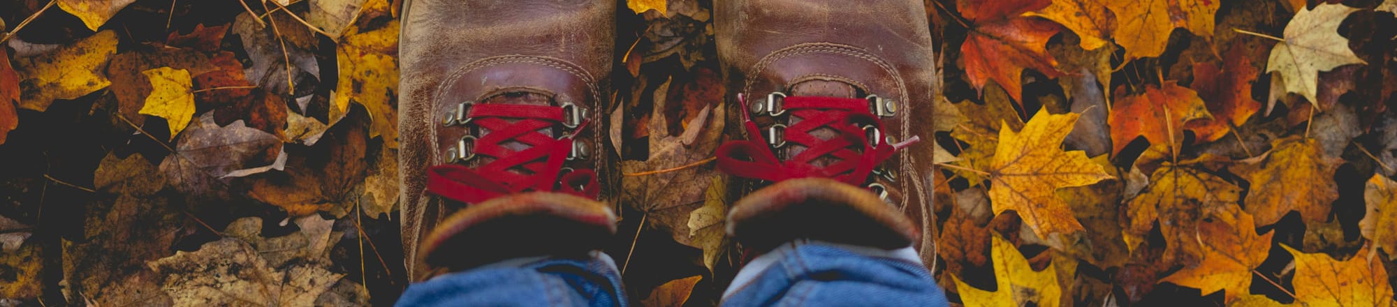 September 23 - Autumn Stroll Day