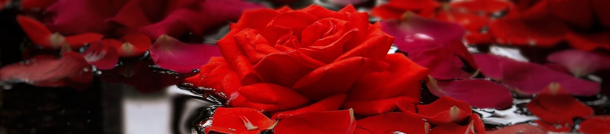 Geschichte des Valentinstags - über Liebeslose, Heilige und Götterboten 