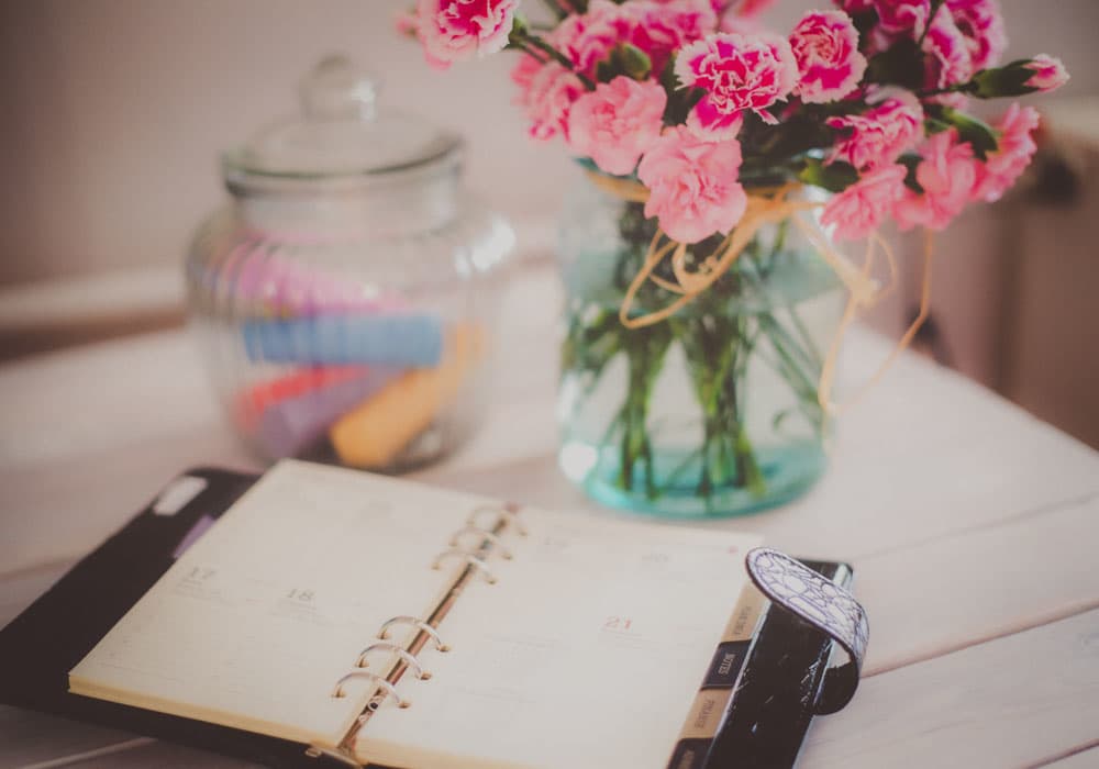 Duo de chrysanthemes roses order here same day delivery