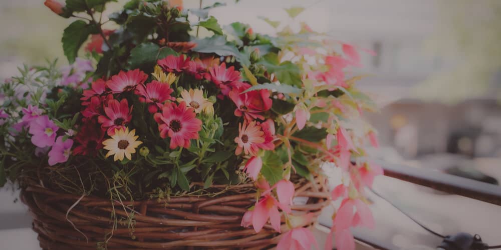 Geburtstag Blumen Lieferung noch am gleichen Tag
