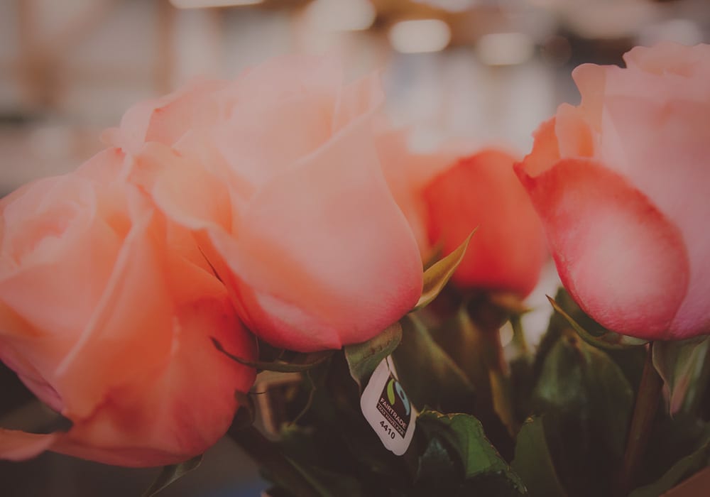 Aktuell SchweizerBlumen Blumen Lieferung noch am gleichen Tag