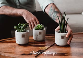 Männerpflanzen - ein Geschenk, bei dem «Mann» mitwächst