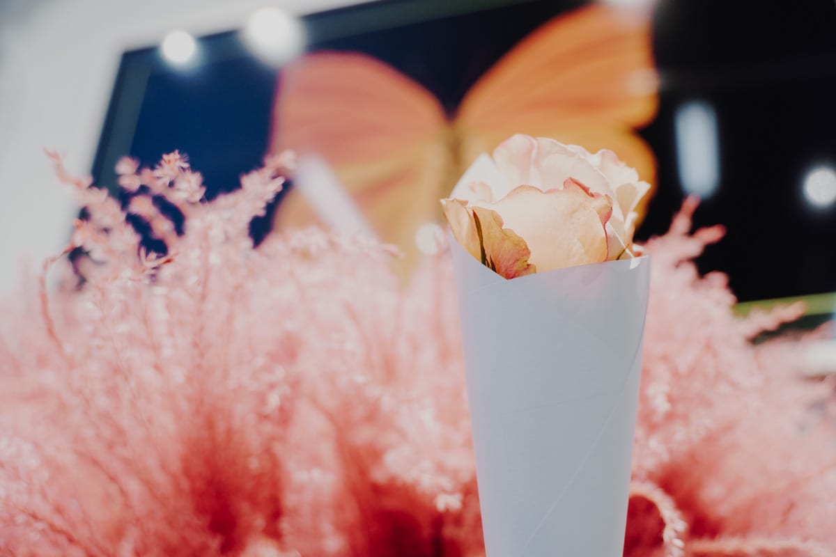 Adorable: gourmet box
