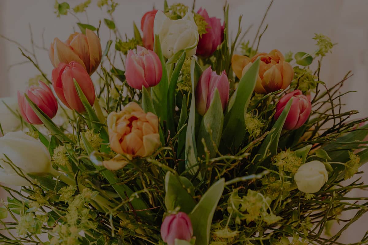 Tulpen in allen Farben jetzt bei Fleurop kaufen