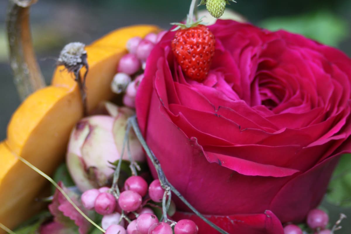Mit Blumen gefüllter Kürbis