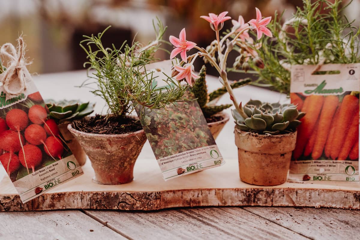 Ein perfektes Geschenk für Gartenfreunde