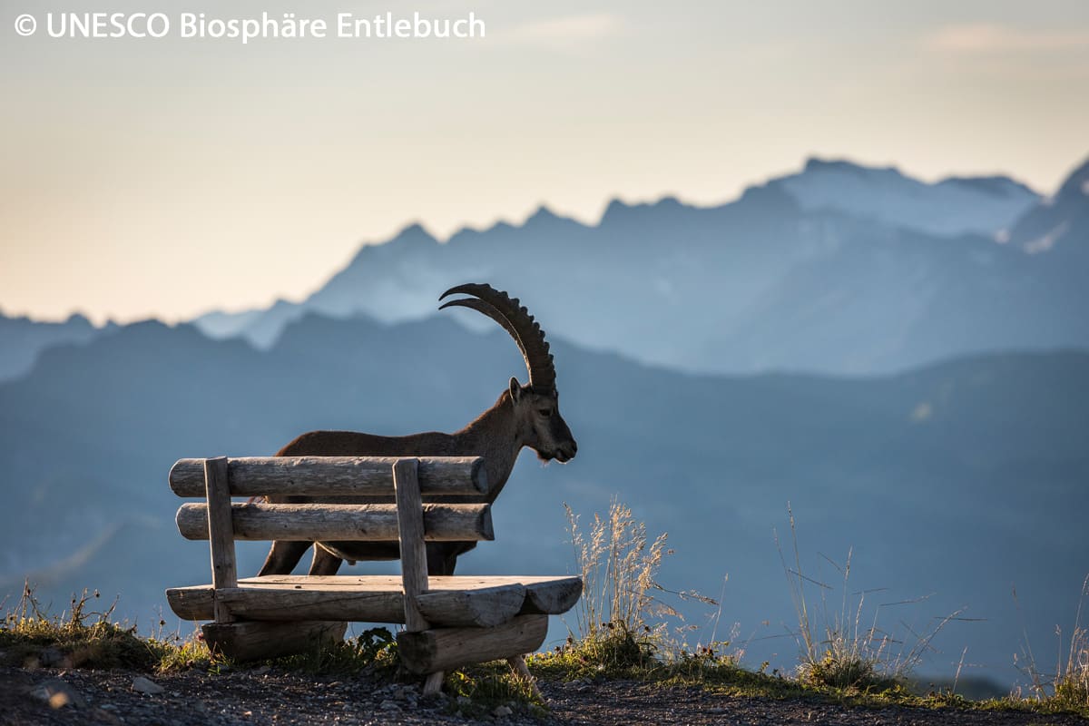 Naturparks