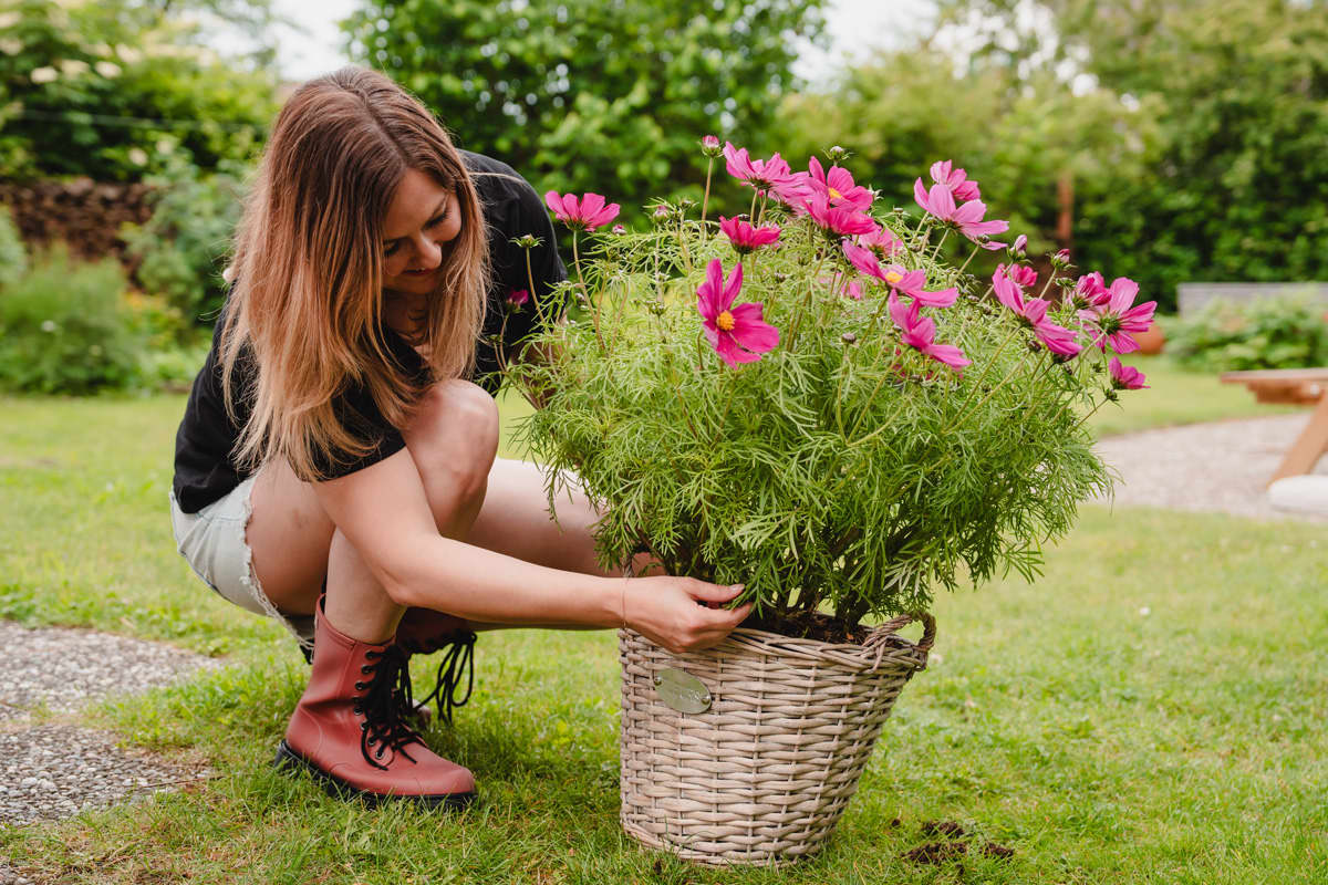 For spring at home or in the garden - FleuropHOME!