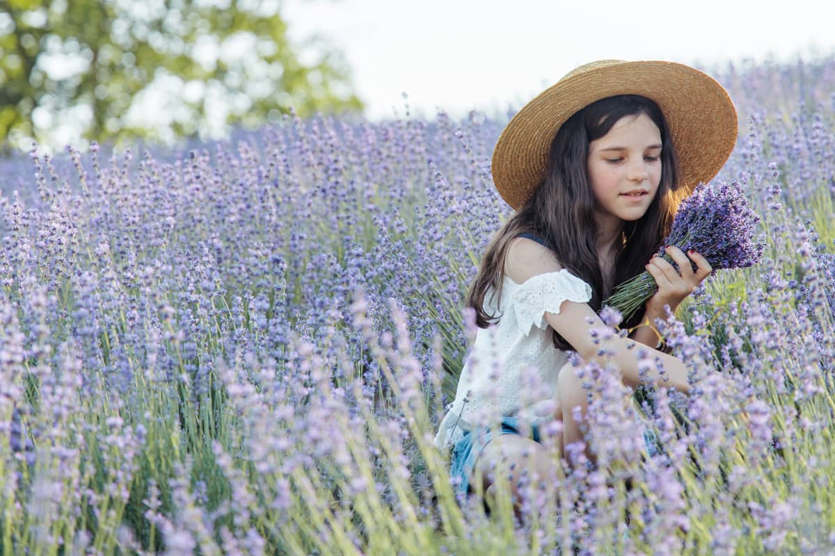 Lavendel - ideal für heisse Sommer