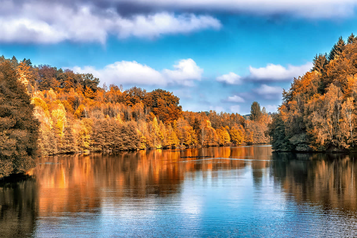 Yellow forests here - elsewhere rather red ones