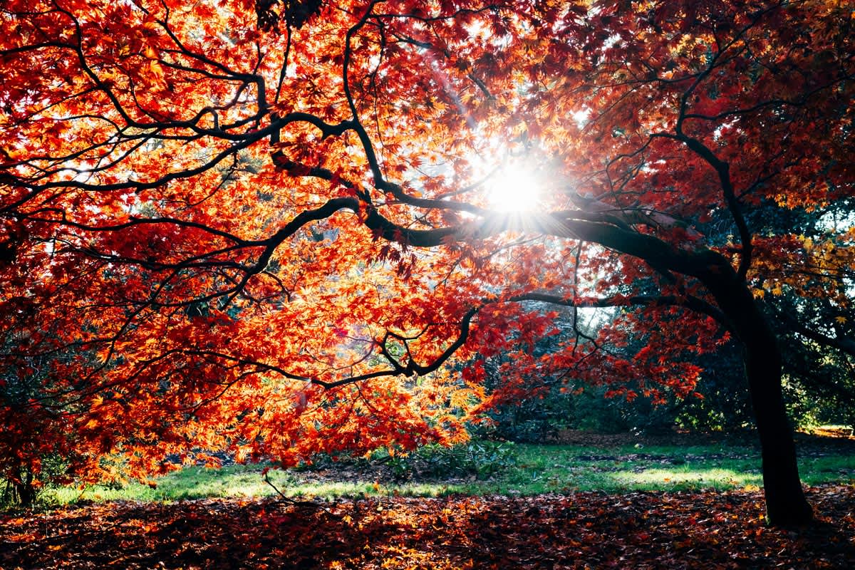 This is what Indian summer is called elsewhere 
