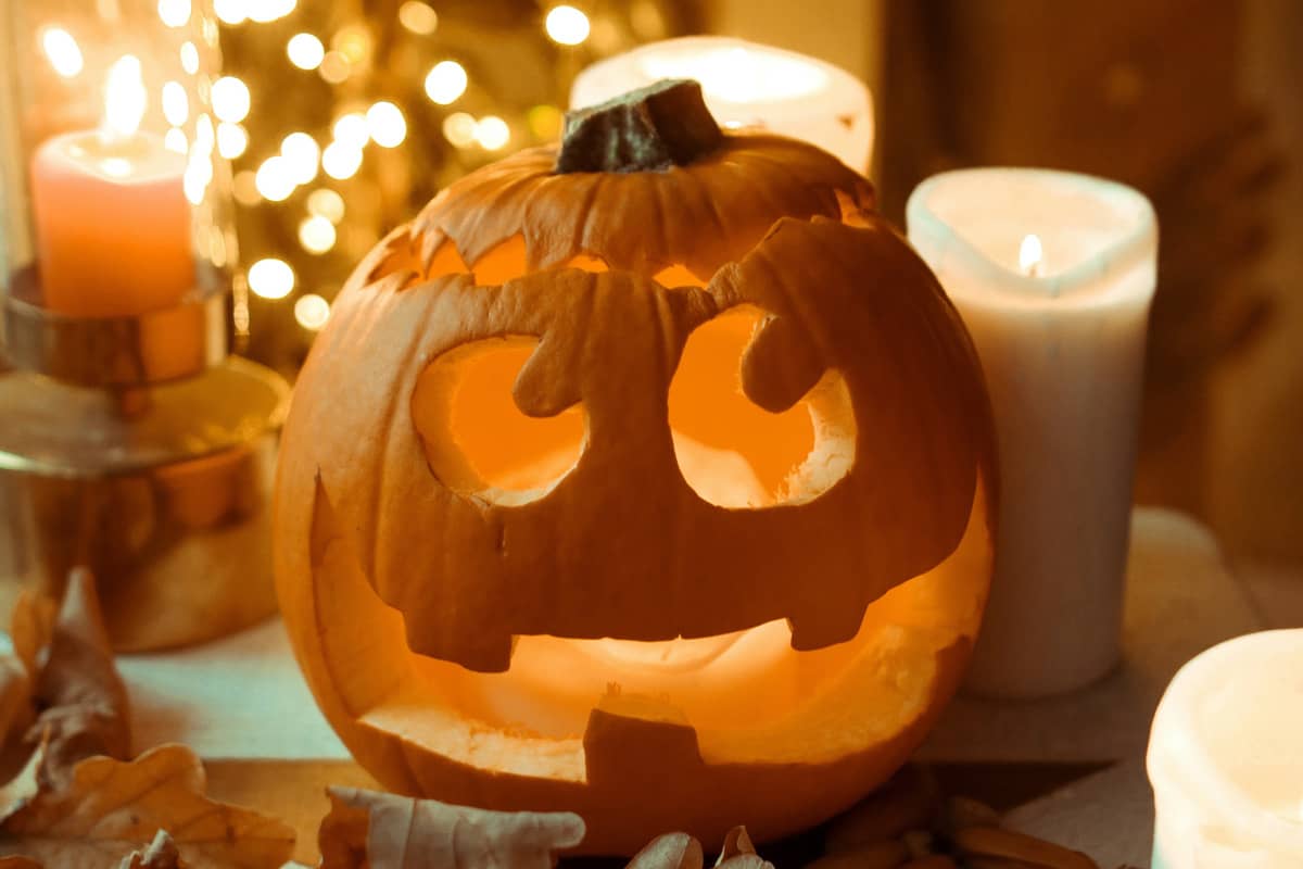 October 31 - pumpkin, doorbell and magic