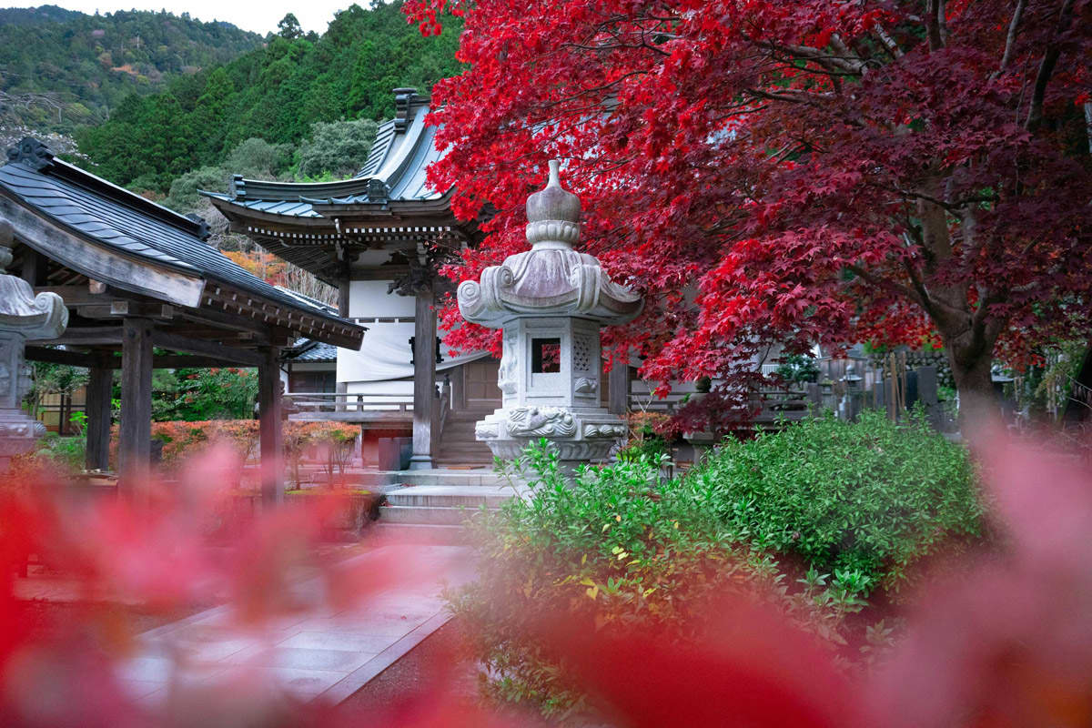 Momijigari - Indian summer in Japan