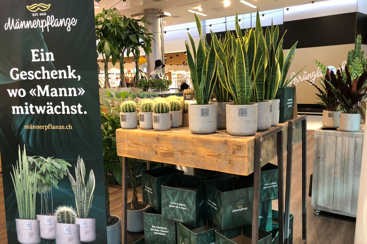 Männerpflanze on tour