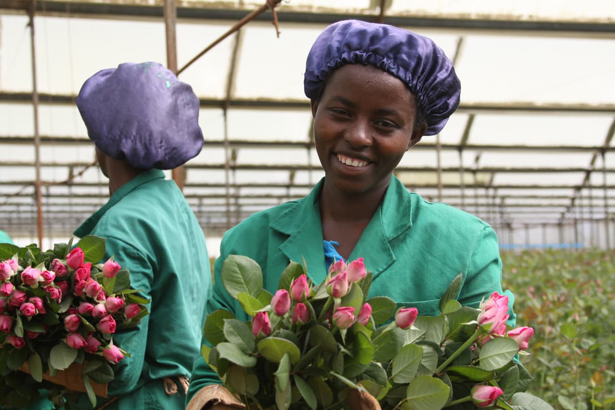 Fleurop & Rose con il marchio Fairtrade Max Havelaar