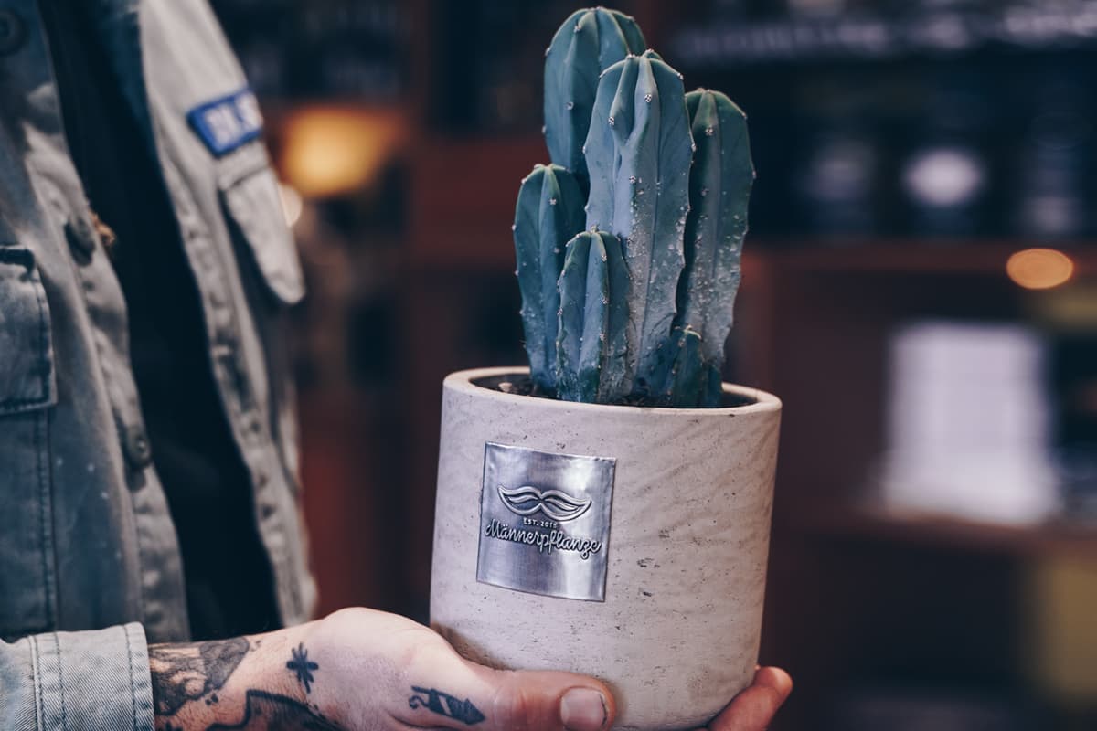 Plants for men