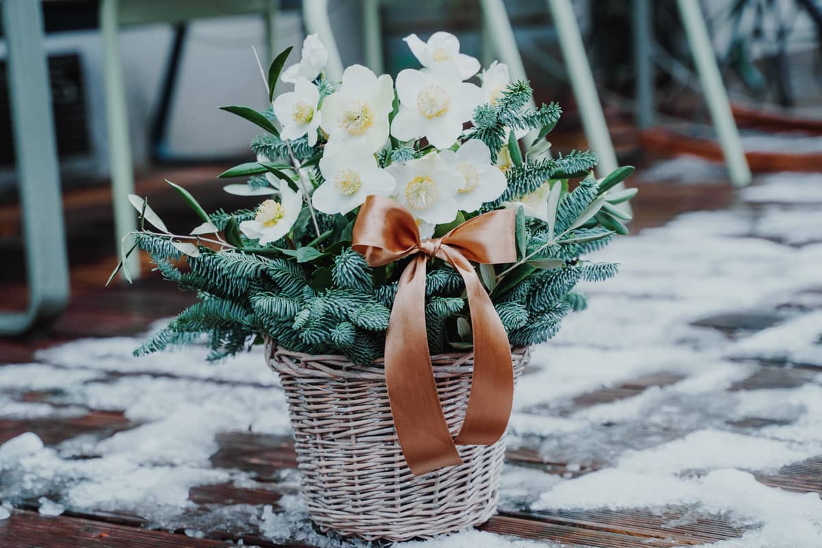 … e in inverno quando nevica?