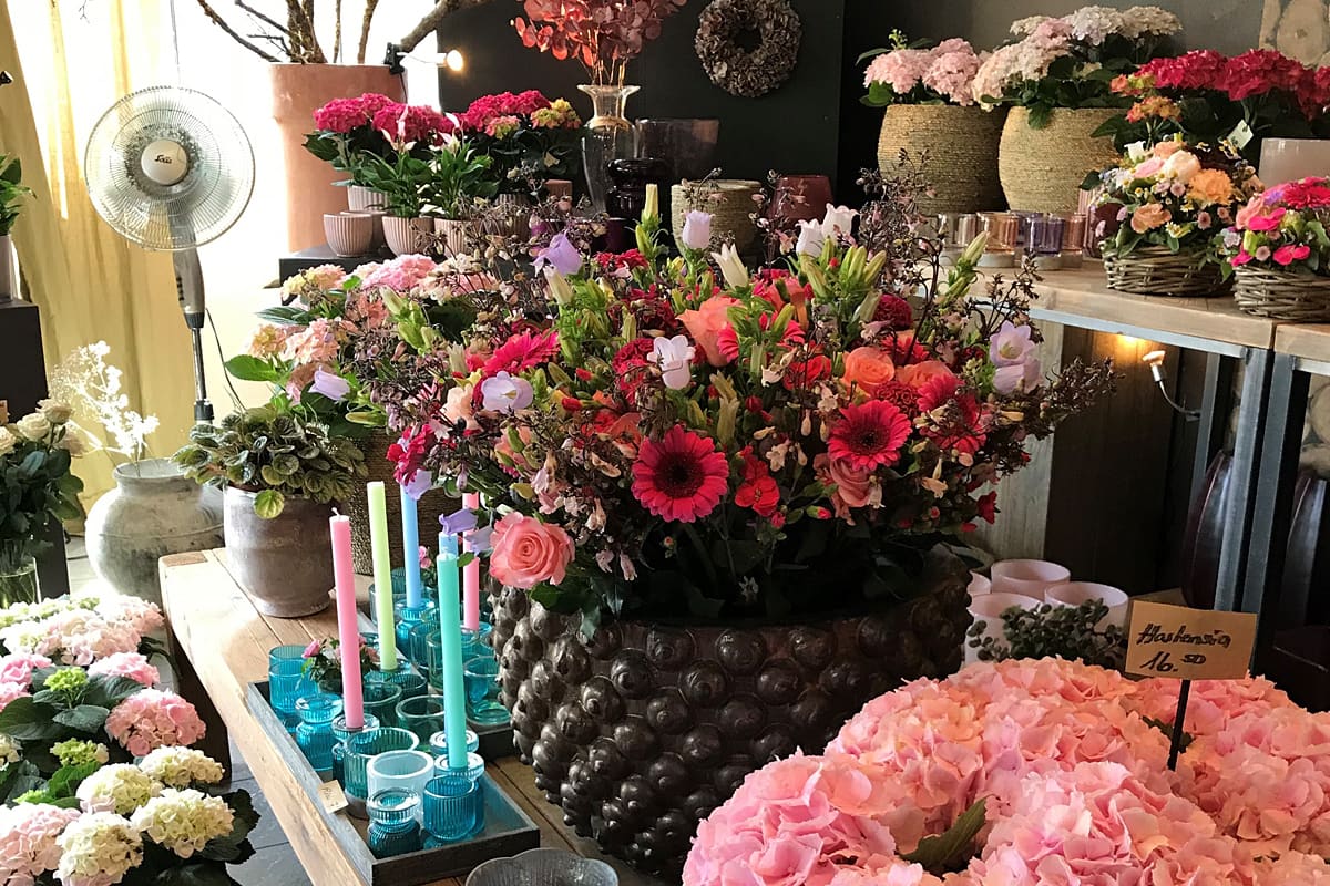 I fiori svizzeri sono da tempo un successo da Toujours Plüss  