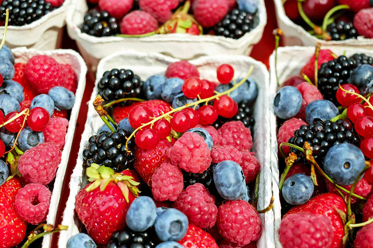 Summer berries - delicious little fruits