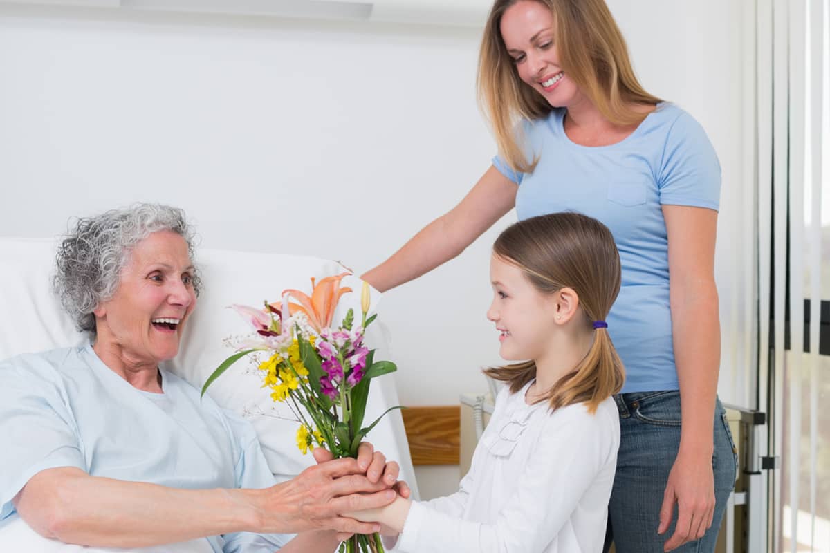 Flowers & plants - some basic rules