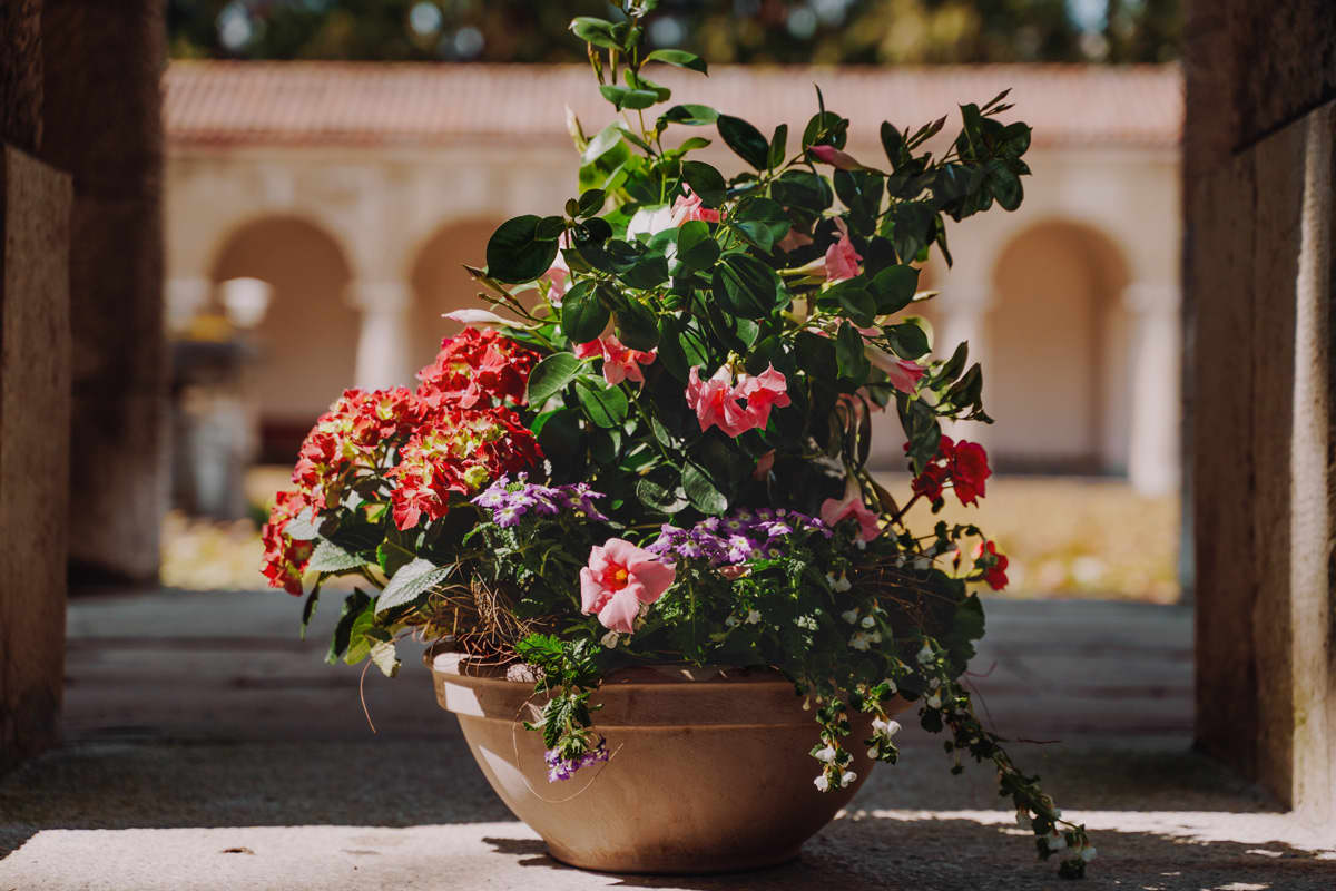 What flowers to offer in case of a bereavement?