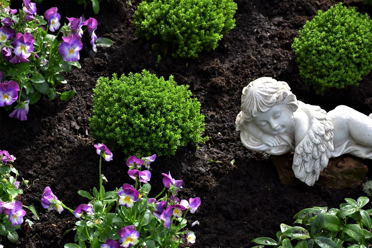 Le choix des fleurs en cas de décès: remarques générales