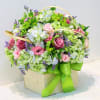 Media 1 - Mixed bouquet in container