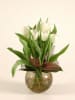 Media 1 - white tulips bouq