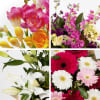 Media 1 - Mixed cut flowers