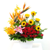 Media 1 - Bright Mixed Arrangement