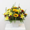 Media 1 - Yellow and Red Arrangement