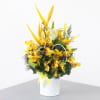 Media 1 - Yellow Orchids and Tropicals