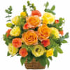 Media 1 - Arrangement in yellow and orange