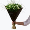Media 1 - Gorgeous White Alstromeria 242674