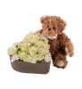 Media 1 - Hugs from Teddy White 242667
