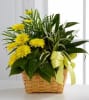 Media 1 - The FTD Loving Light Dishgarden