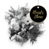Media 1 - Mixed cut flowers - Florist’s Choice
