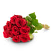 Media 1 - 10 red roses