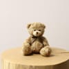 Media 2 - Roses and Teddy bear