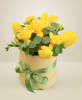Media 1 - Sunny spring
