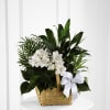 Media 1 - The FTD Peace and Serenity Dishgarden