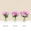 Media 3 - Peony Dream