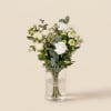 Media 1 - Gentleness