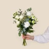 Media 2 - Gentleness