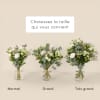 Media 3 - Gentleness