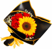 Media 1 - SunRoses