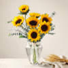 Media 1 - The Sunflower Edit