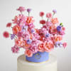 Media 1 - Plum Melody